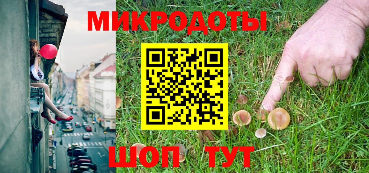 Псилоцибиновые грибы Psilocybe Беслан