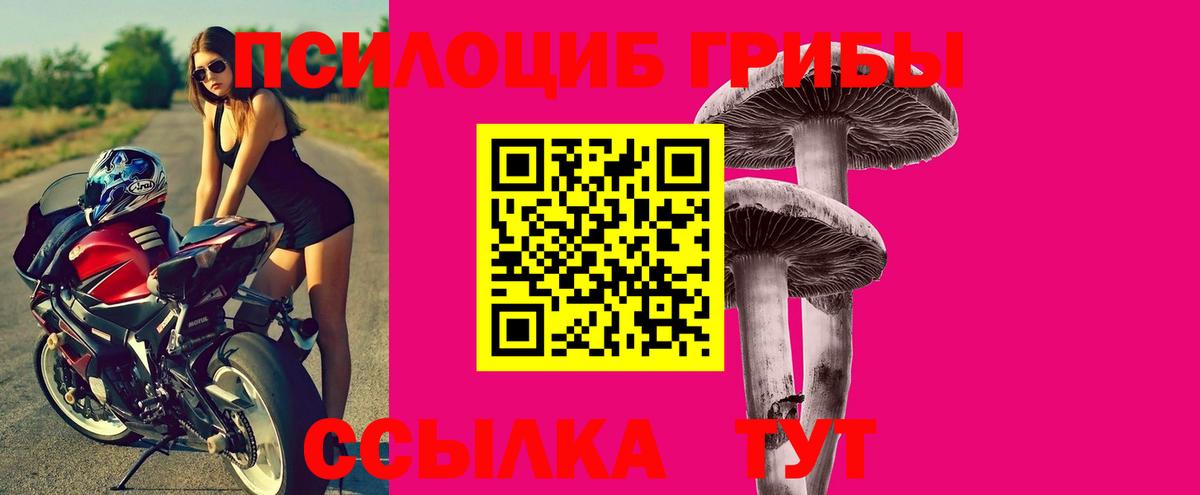 Беслан  Галлюциногенные грибы прущие грибы  Вход с VPN 